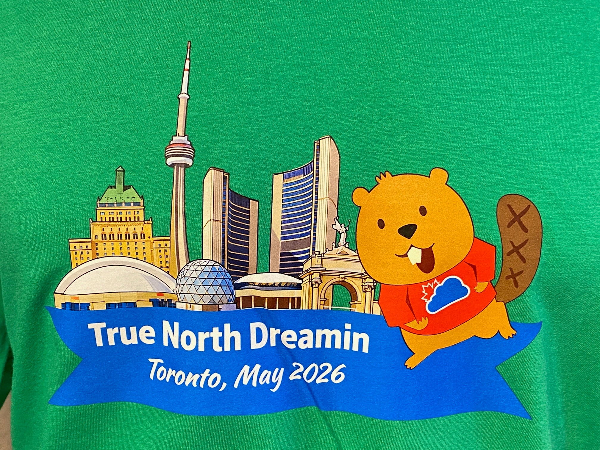 DTF printing kode garment  apparel newmarket true north dreaming g200 2000 gildan